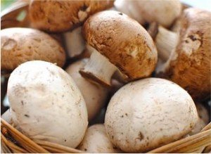 Stuffed Mushrooms-large button