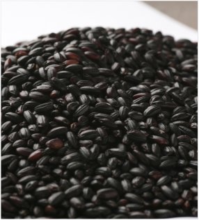 Sticky Black Rice Pudding with Coconut Milk-rice