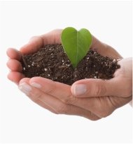 Oceans Halo Sept Monthly 2015-packaging