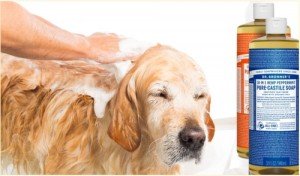 Dr Bronner Castile Liquid Soap Dec 2015 Monthly-dog bath