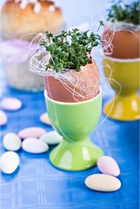 Creative uses for eggshells-inset 2