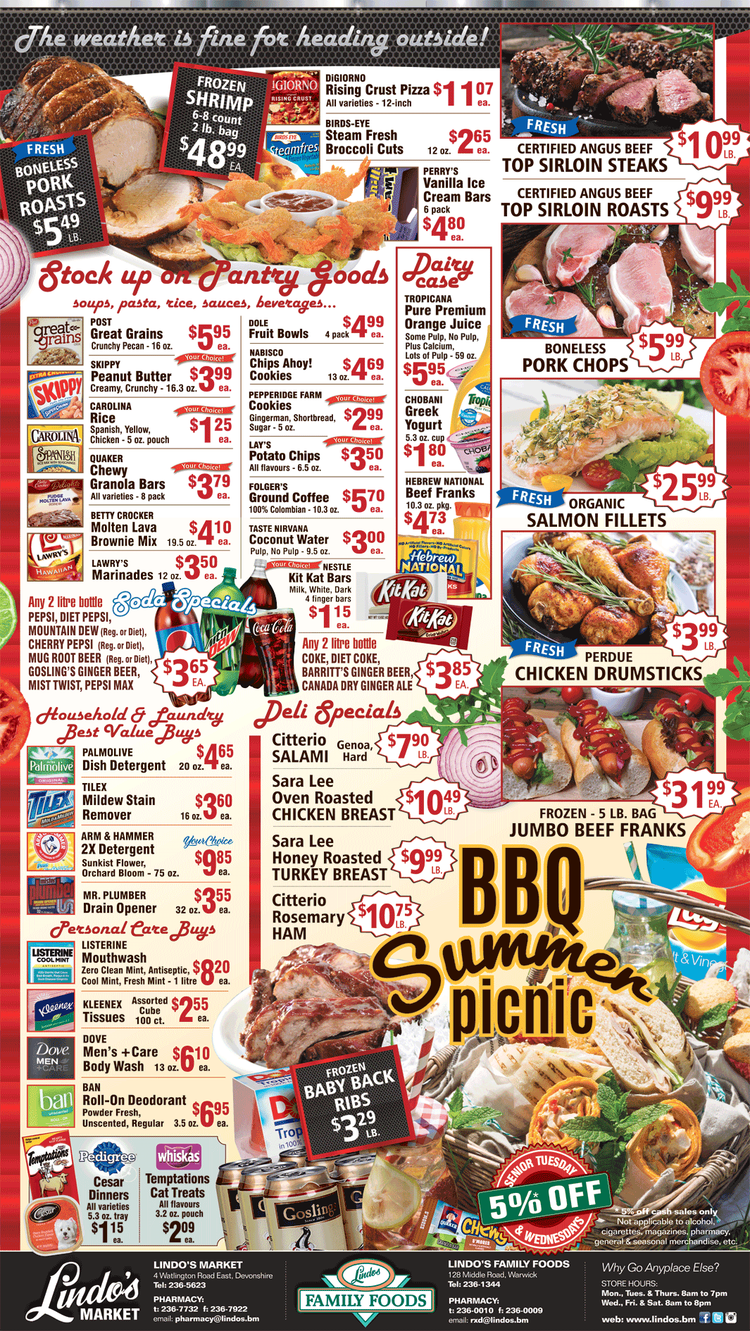 LINDOS-PICNIC-June-8th-2018